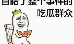 爆料卧槽吃瓜视频大全,卧槽吃瓜视频大全，带你领略网络爆料的魅力瞬间