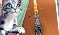 catrun在线观看,一场关于冒险与成长的奇幻之旅