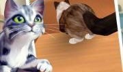catrun在线观看,一场关于冒险与成长的奇幻之旅