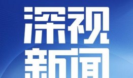 深圳小宋最新爆料消息新闻,最新热点新闻事件深度解析