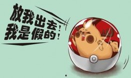 小瓜鹿最新爆料,揭秘娱乐圈最新动态