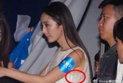 爆料杨幂视频,揭秘娱乐圈背后的真相